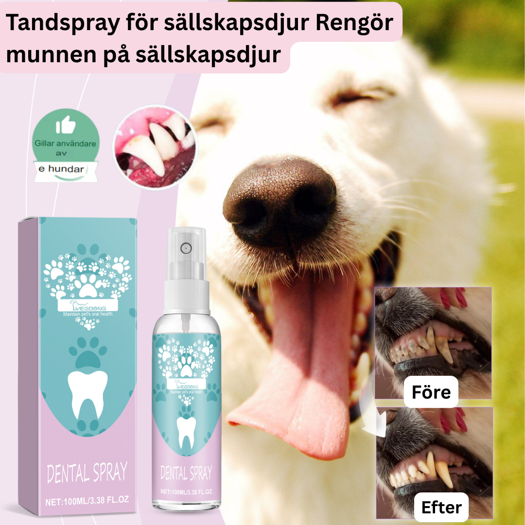 Pawmint | Fräsch andedräkt för husdjur – Beställ nu! 🐶🦷✨