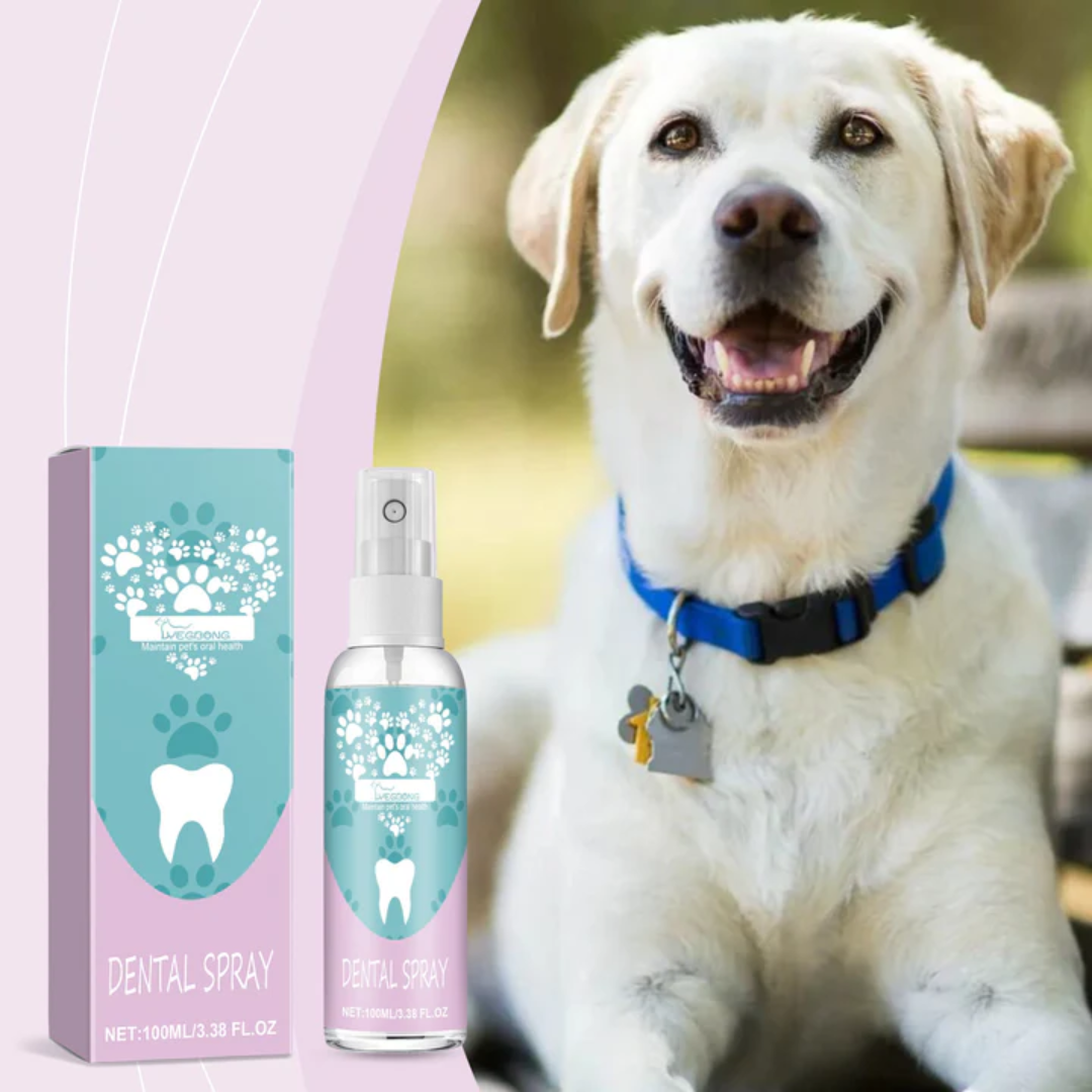 Pawmint | Fräsch andedräkt för husdjur – Beställ nu! 🐶🦷✨
