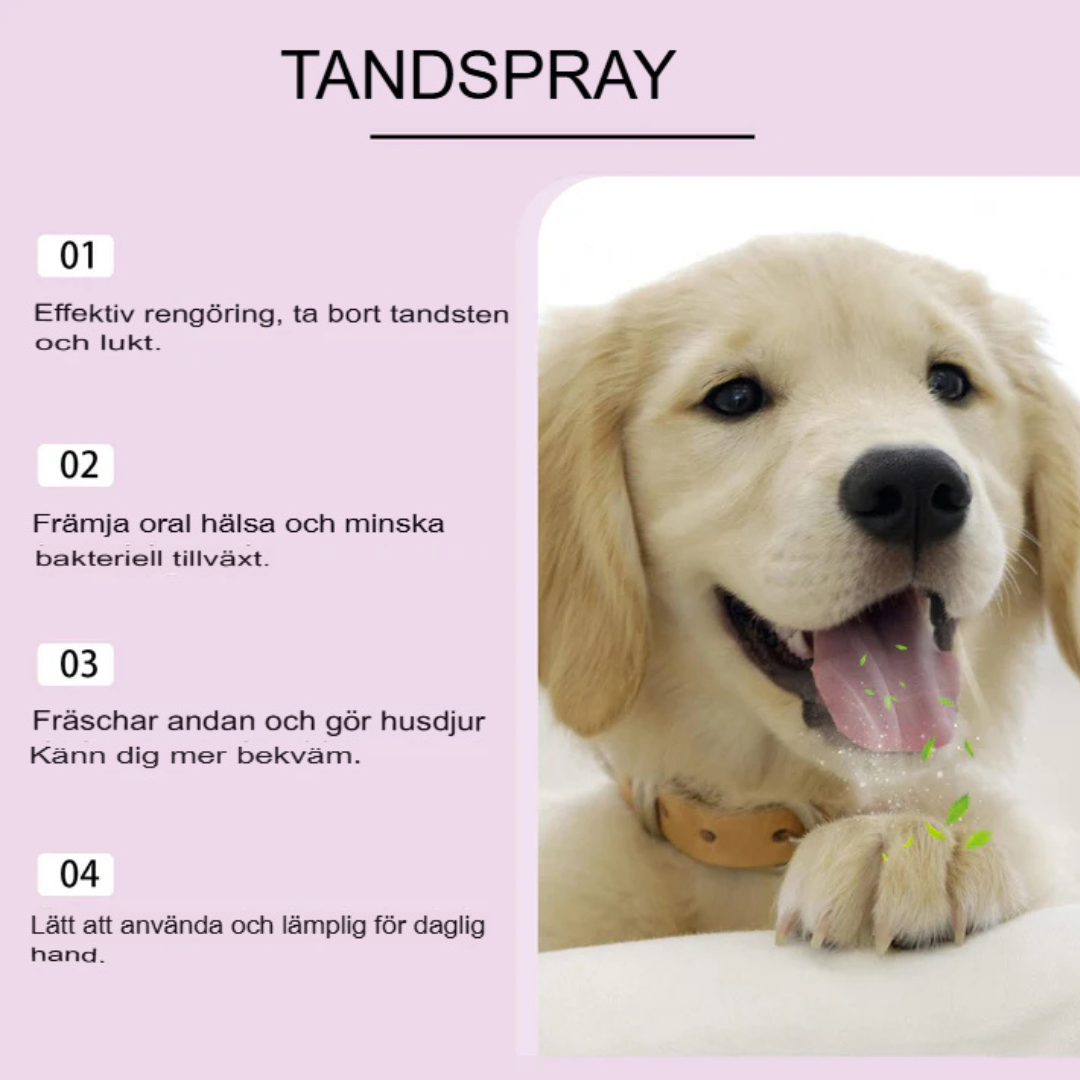 Pawmint | Fräsch andedräkt för husdjur – Beställ nu! 🐶🦷✨