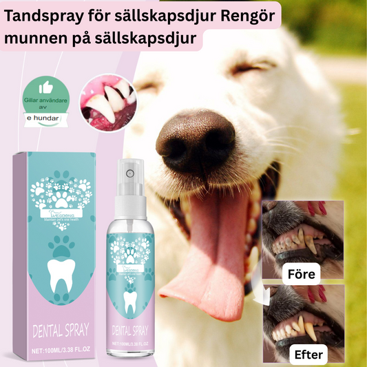 Pawmint | Fräsch andedräkt för husdjur – Beställ nu! 🐶🦷✨